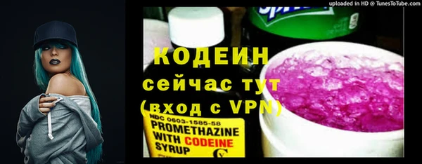 трава Корсаков
