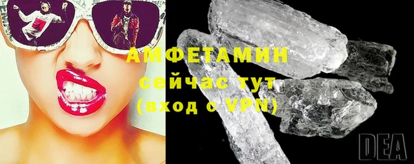 трава Корсаков