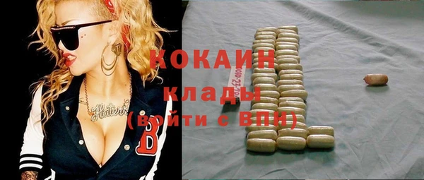 трава Корсаков