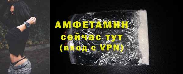 трава Корсаков