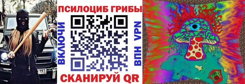 Купить  Кувандык  Псилоцибиновые грибы Psilocybine cubensis 
